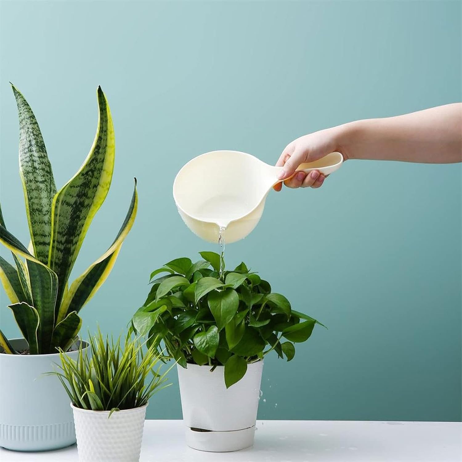 Ergonomic Kitchen Water Scoop B_gs_i